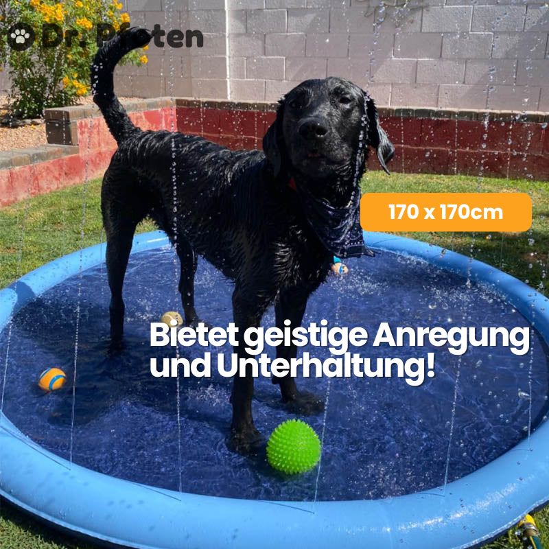 💧 PfotenOase™ - Erfrischende Wasserspielmatte für glückliche Hunde! 🐾